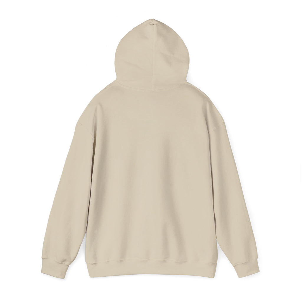 Armor of God Hoodie | faith streetwear, bold type