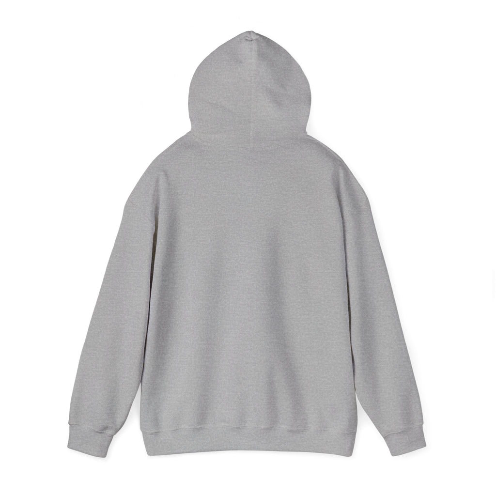 Child of the King Hoodie | faith streetwear, bold type