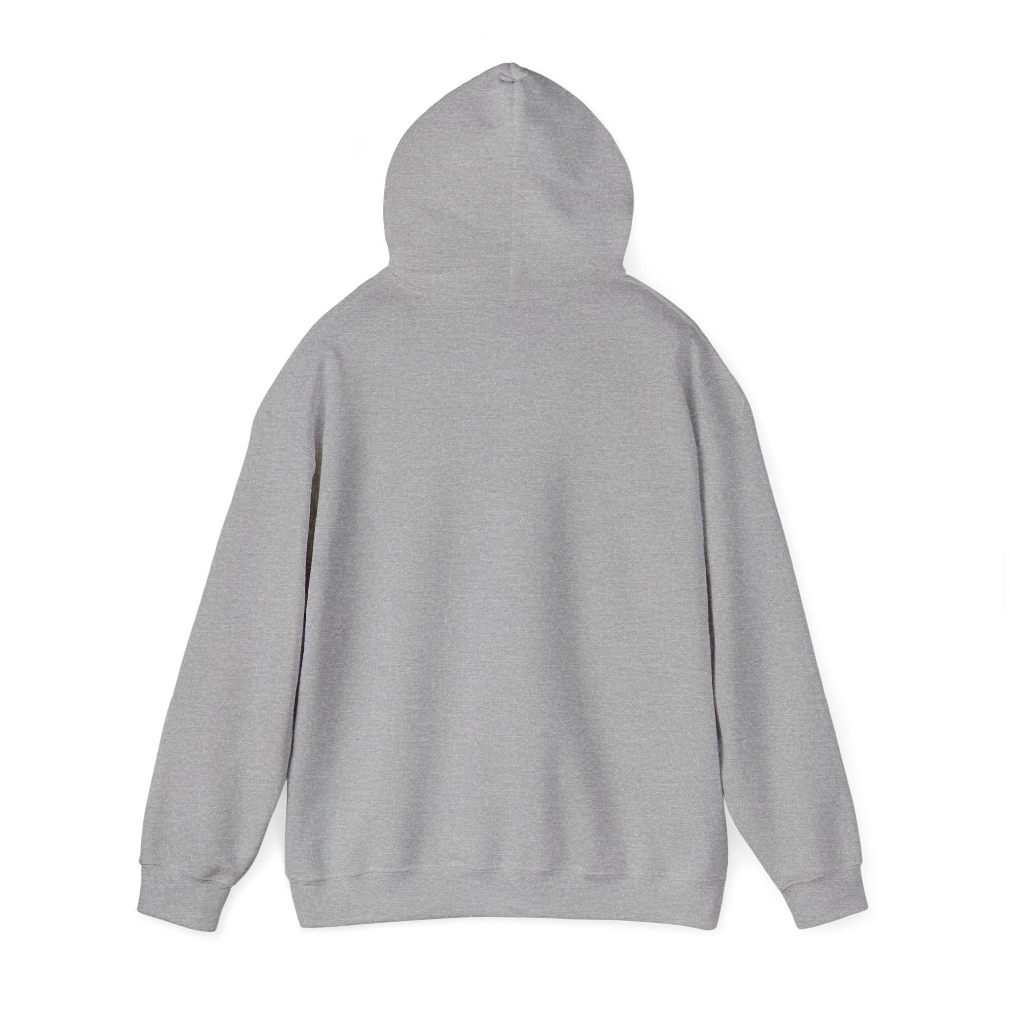 Child of the King Hoodie | faith streetwear, bold type