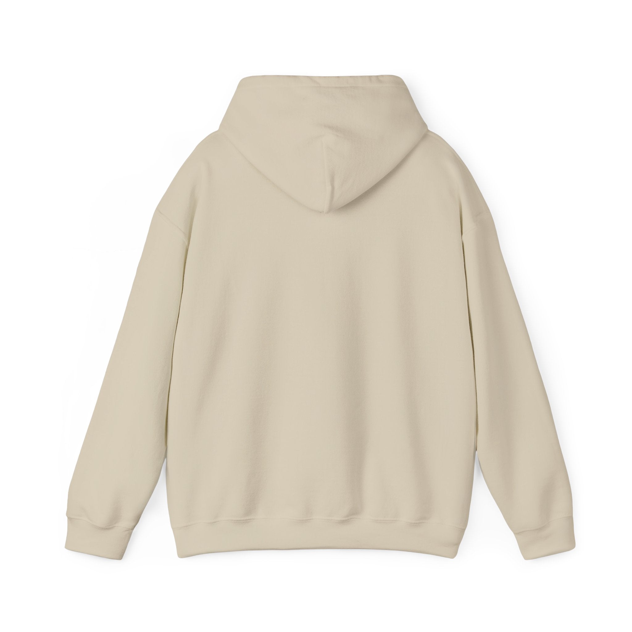 Child of the King Hoodie | faith streetwear, bold type