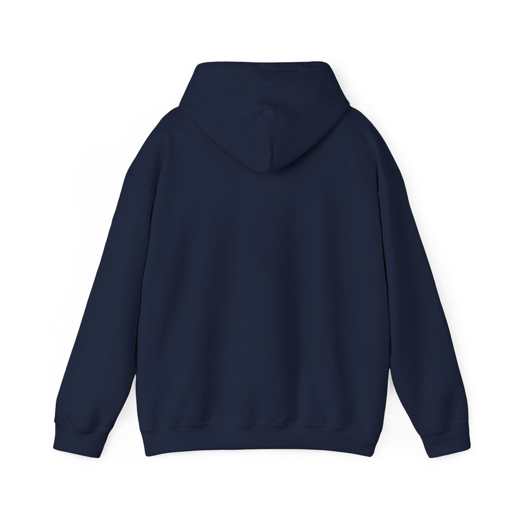 Child of the King Hoodie | faith streetwear, bold type
