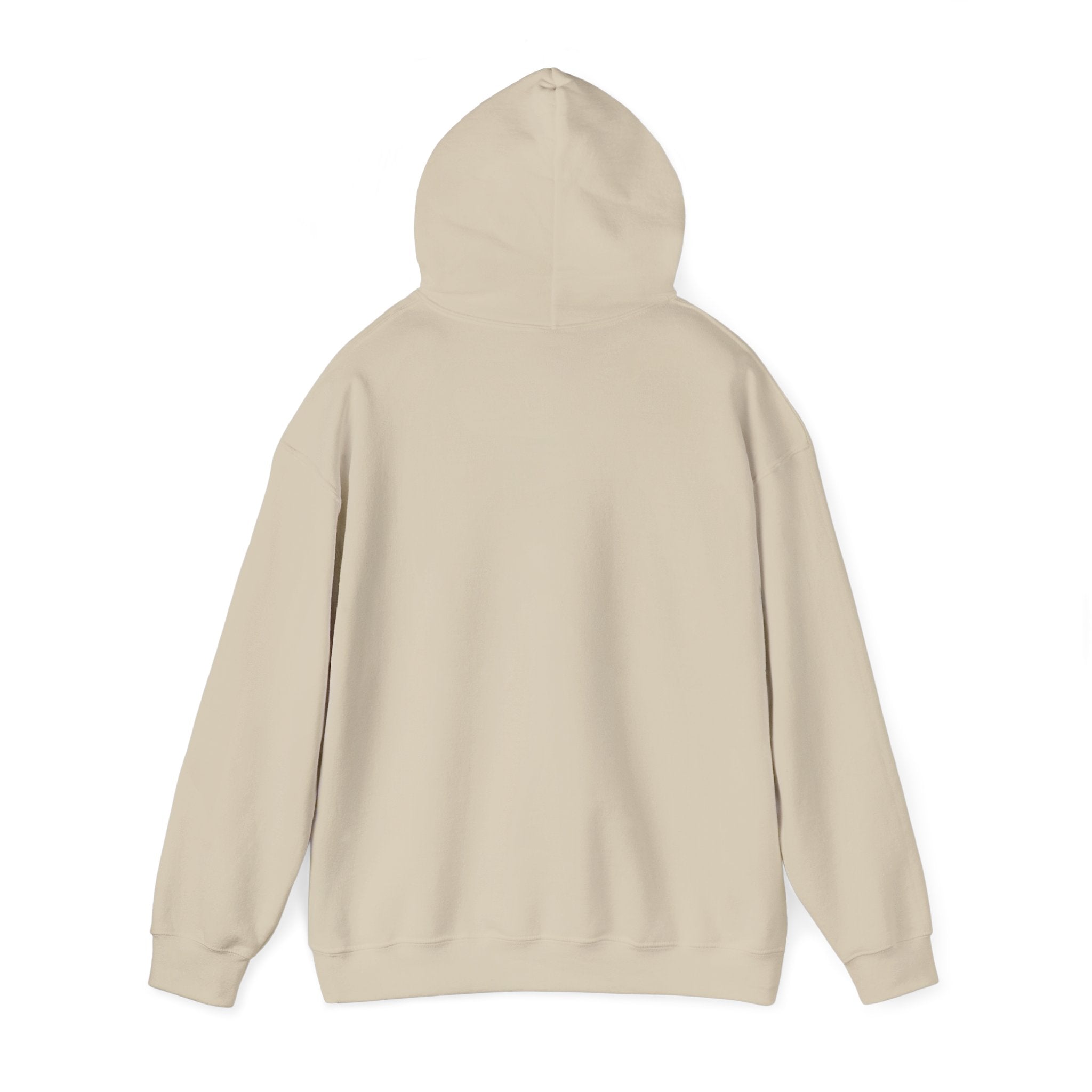 Child of the King Hoodie | faith streetwear, bold type