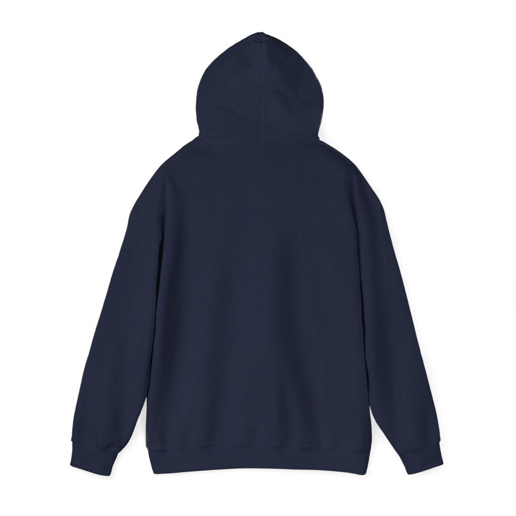Child of the King Hoodie | faith streetwear, bold type