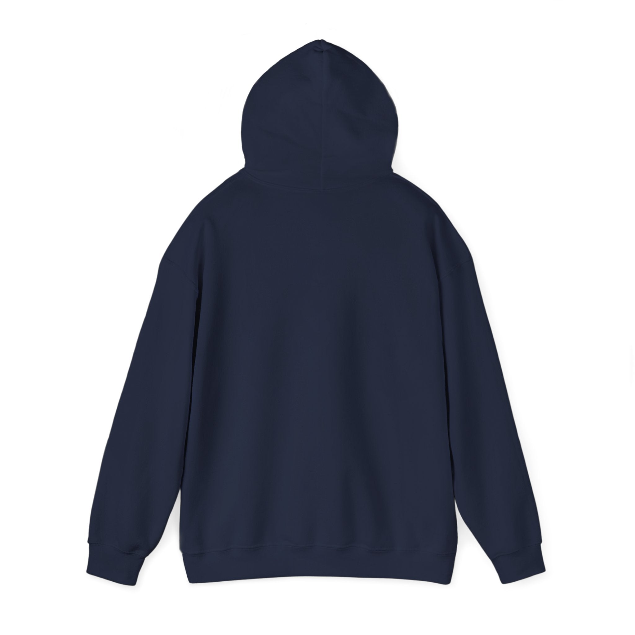 Child of the King Hoodie | faith streetwear, bold type